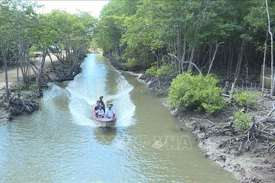 Cần Giờ - 'Cửa ngõ' đại dương của siêu đô thị