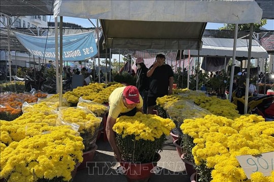 Hoa kiểng đồng loạt giảm giá chiều 29 Tết