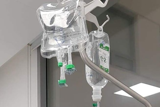 Ba người bị ngộ độc vì nghi ăn nhầm con so