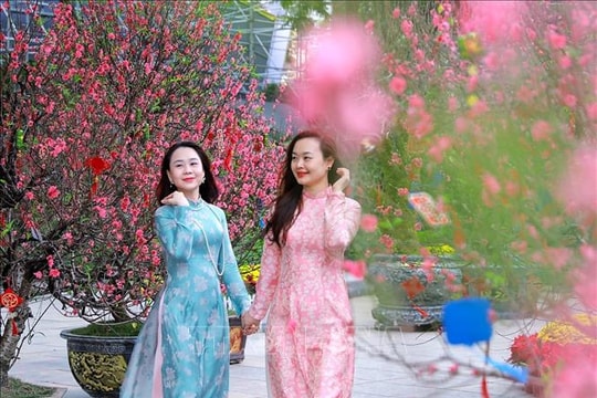 Thời tiết dịp Tết: Hà Nội sẽ có mưa xuân trong ngày đầu tiên của năm mới