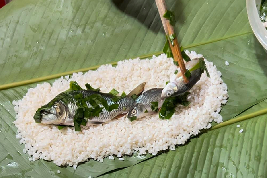 Bánh chưng nhân cá chép là đặc sản tỉnh nào?