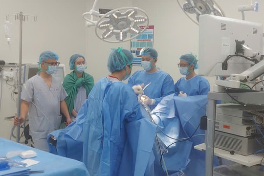 Vợ chồng trọng thương do bị trâu húc trên đường về quê ăn Tết