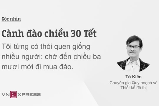 Cành đào chiều 30 Tết