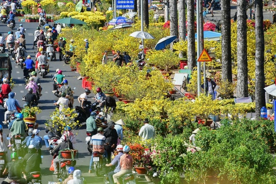 Người dân tấp nập mua hoa giảm giá ngày 29 Tết