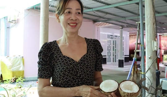 CLIP: Đánh liều mua 800.000 đồng/cây giống đặc sản, nhà vườn ở Cần Thơ thắng lớn