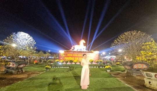 Cận cảnh những “tuyệt tác bạc tỉ” hội tụ tại thủ phủ mai vàng miền Trung