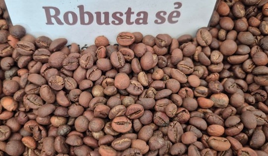 Giá cà phê hôm nay 16-2: Việt Nam là thị trường cung cấp thứ 3 cho Trung Quốc