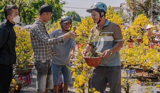 VIDEO: Xả hoa Tết giá 100.000 đồng vào trưa 29 Tết tại TPHCM