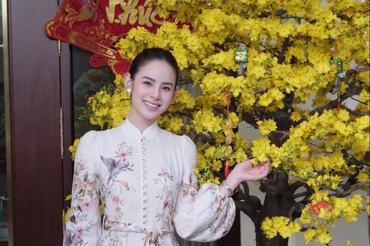 Sao Việt đón Tết bên gia đình