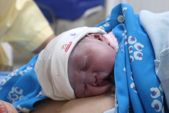 Những em bé chào đời đêm giao thừa Tết Bính Ngọ được tặng miếng vàng hình ngựa