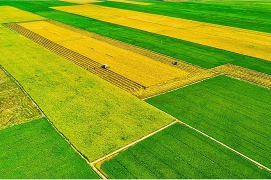 Quyết tâm thực hiện tốt công tác dân tộc và tôn giáo trong giai đoạn mới