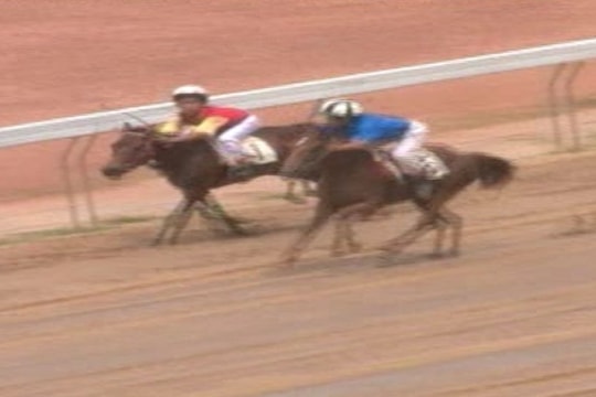 Chiến mã từng thống trị trường đua Phú Thọ