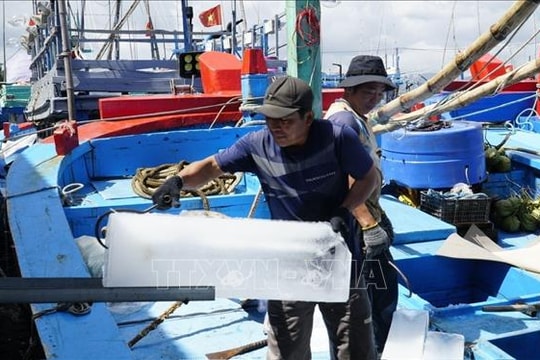 Ngư dân ra khơi chờ mong một vụ mùa bội thu