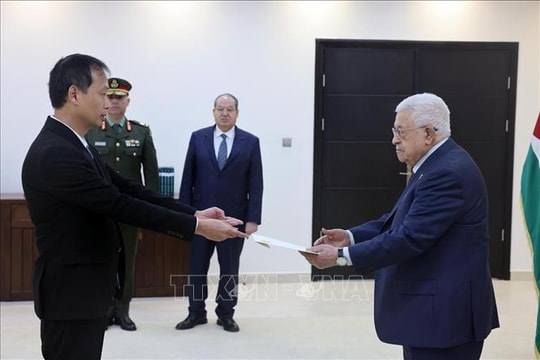 Việt Nam khẳng định quan điểm nhất quán về Palestine, sẵn sàng tham gia tái thiết Gaza