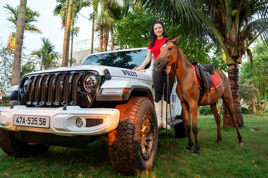 Lý do sức mạnh ôtô được gọi là 'sức ngựa'