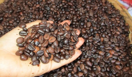 Giá cà phê hôm nay 18-2: "Đổ đèo" mạnh mùng 2 Tết