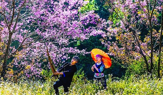 Gửi theo mùa xuân thơ ấu