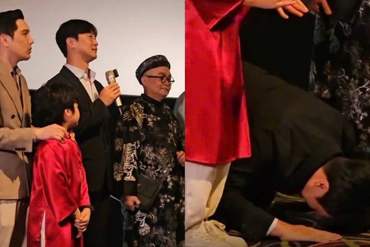 Tổng giám đốc hãng phim quỳ gối mong khán giả ủng hộ 'Mùi phở'