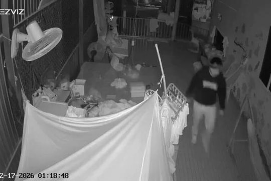 Nhát đâm bất hiếu lúc nửa đêm của 'con rể hờ'