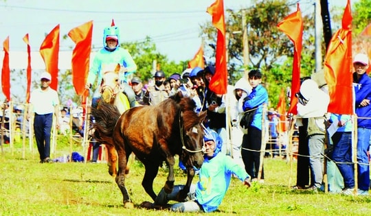 Cười ngất Với hội đua ngựa thồ