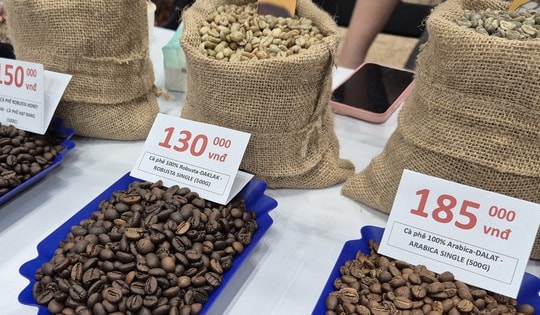 Giá cà phê hôm nay 19-2: Quay đầu đi lên
