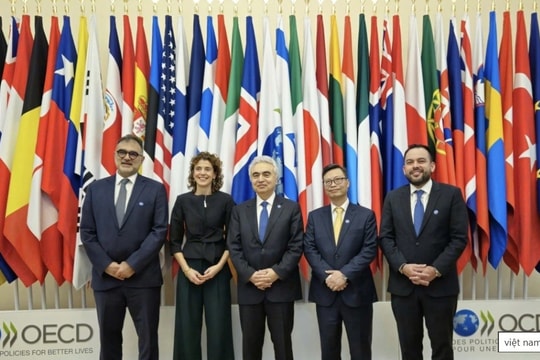 Việt Nam trở thành quốc gia liên kết của Cơ quan Năng lượng Quốc tế IEA