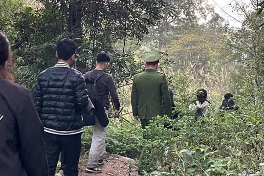 Đưa 4 du khách lạc rừng Tây Yên Tử về nơi an toàn