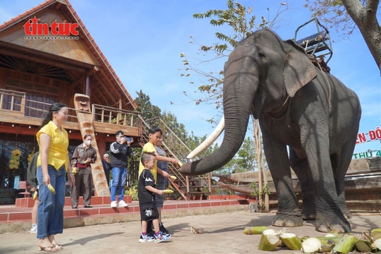 Buôn Jun - Điểm du lịch cộng đồng thu hút đông người dân và du khách dịp Tết