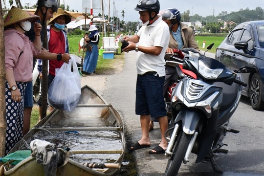 Thuyền cá "bơi" lên quốc lộ, kiếm 8-10 triệu đồng ngày Tết