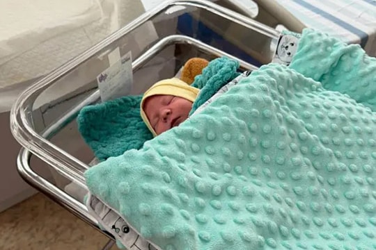 Cuộc chiến 'bảo tồn nòi giống' trong ống nghiệm tại Ukraine