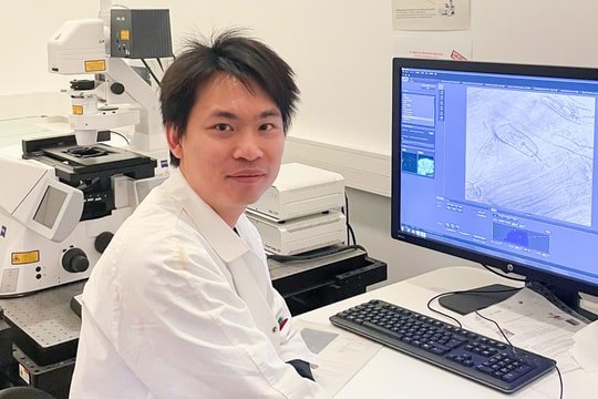 Tiến sĩ Việt giải mã tiềm năng chữa ung thư máu từ gạo và cỏ dại