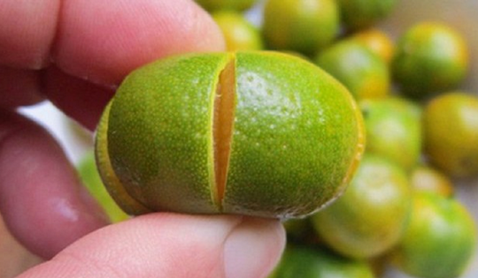 Loại quả là “báu vật" ngày Tết, đi chợ thấy bỏ qua quá phí