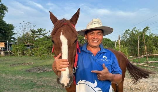 Đầu xuân Bính Ngọ 2026: Thăm trang trại ngựa lớn nhất TPHCM