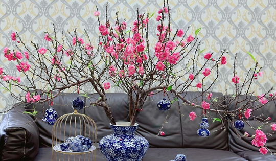 Đừng đốt gốc đào nữa thêm thứ này hoa nở rộ rất nhanh, bền đẹp ngày Tết