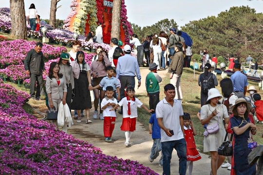 Đà Lạt hút khách du xuân, cơ sở lưu trú "cháy phòng"