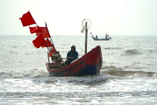 5 con cá khoai giá nửa triệu đồng, ngư dân săn tìm đầu năm mới