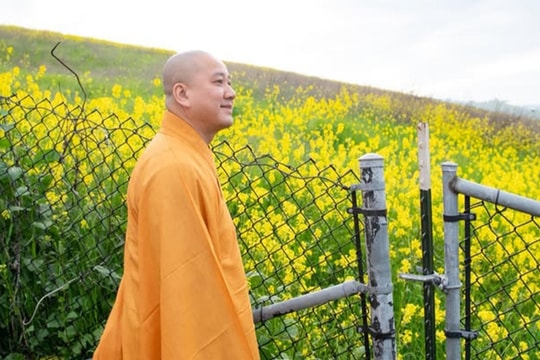 Sách của nhà sư Thích Pháp Hòa (kỳ một): dạy con sống