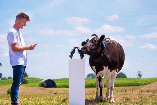 Sở hữu công ty tỷ USD nhờ làm ứng dụng chăn bò