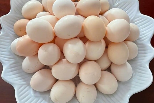 Mắc bệnh gan có nên ăn trứng?