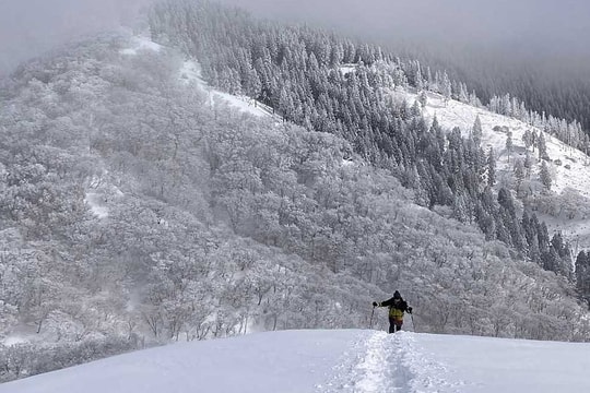 Người Việt tử vong trên núi tuyết Nhật Bản