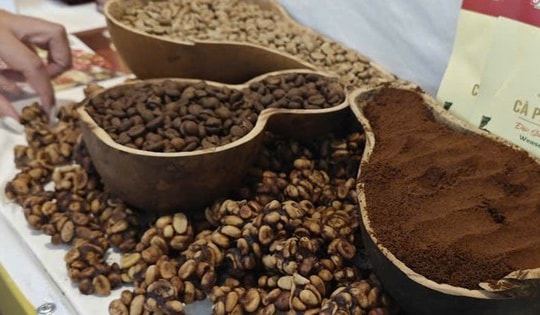 Giá cà phê hôm nay 21-2: Chốt tuần giảm, sắp chạm sàn