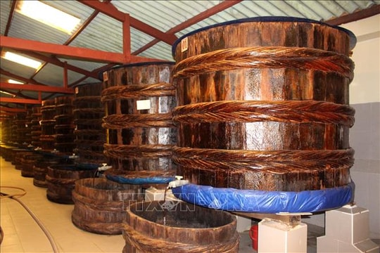 Giữ hồn làng nghề nước mắm Phan Thiết