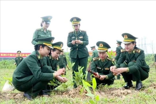 Bộ đội Biên phòng lan tỏa phong trào 'Tết trồng cây' trên hai tuyến biên giới