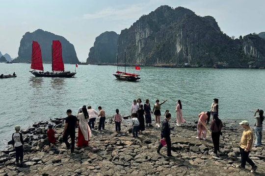 Cánh buồm đỏ thành điểm check in 'hot' ở Hạ Long dịp Tết