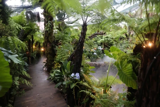 Bên trong quán cà phê như 'vườn địa đàng' ở TP HCM trước khi bốc cháy