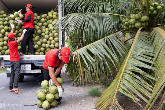 Xuất khẩu rau quả sang EU tăng gấp ba sau 4 năm