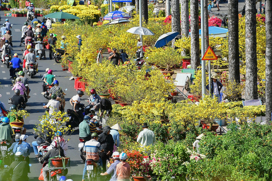 Năm nào đón Tết Nguyên đán sớm nhất trong thế kỷ 21?