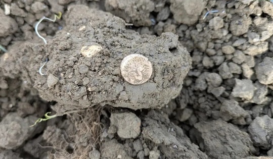 Dò kim loại, người đàn ông phát hiện kho báu quý giá trên cánh đồng