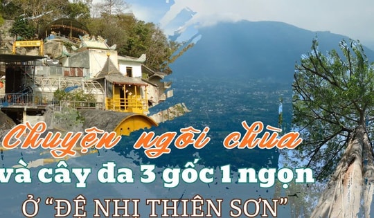 Chuyện ngôi chùa và cây đa 3 gốc 1 ngọn trên đỉnh "đệ nhị thiên sơn”