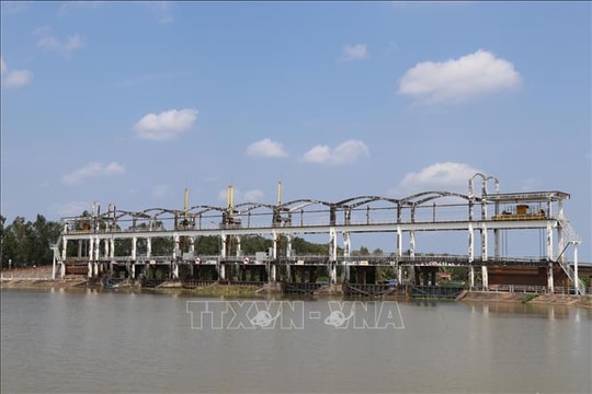 Theo dõi sát nguồn nước, hạn chế rủi ro mặn xâm nhập